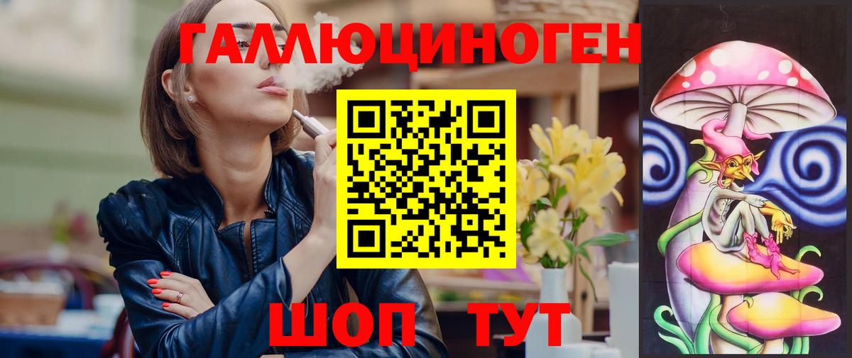 Черногорск  Псилоцибиновые грибы Psilocybine cubensis  Вход с VPN 
