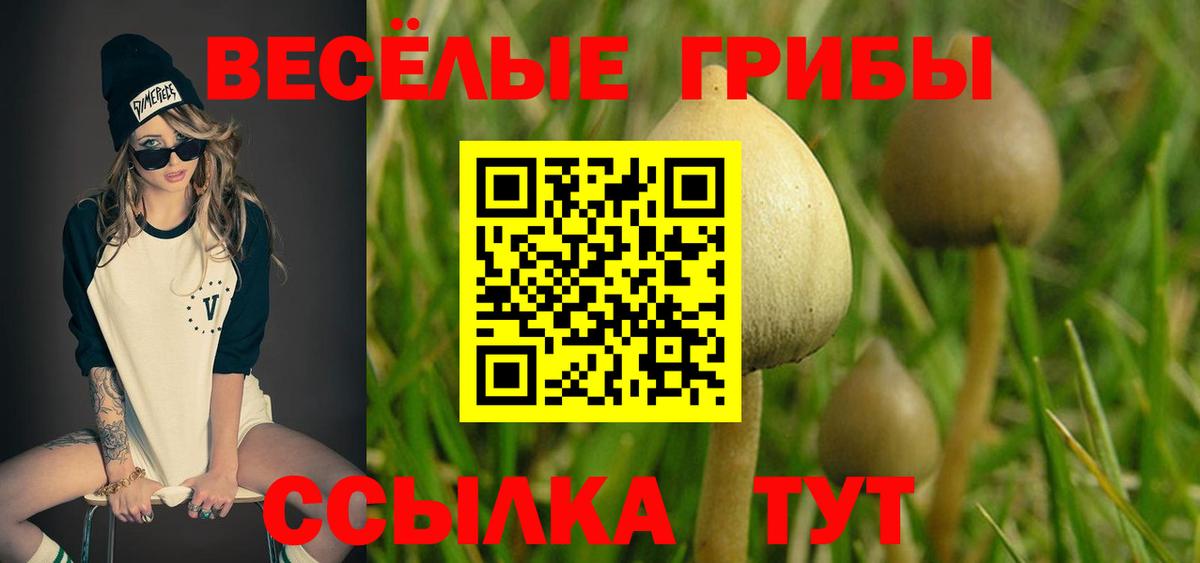 Галлюциногенные грибы ЛСД Черногорск